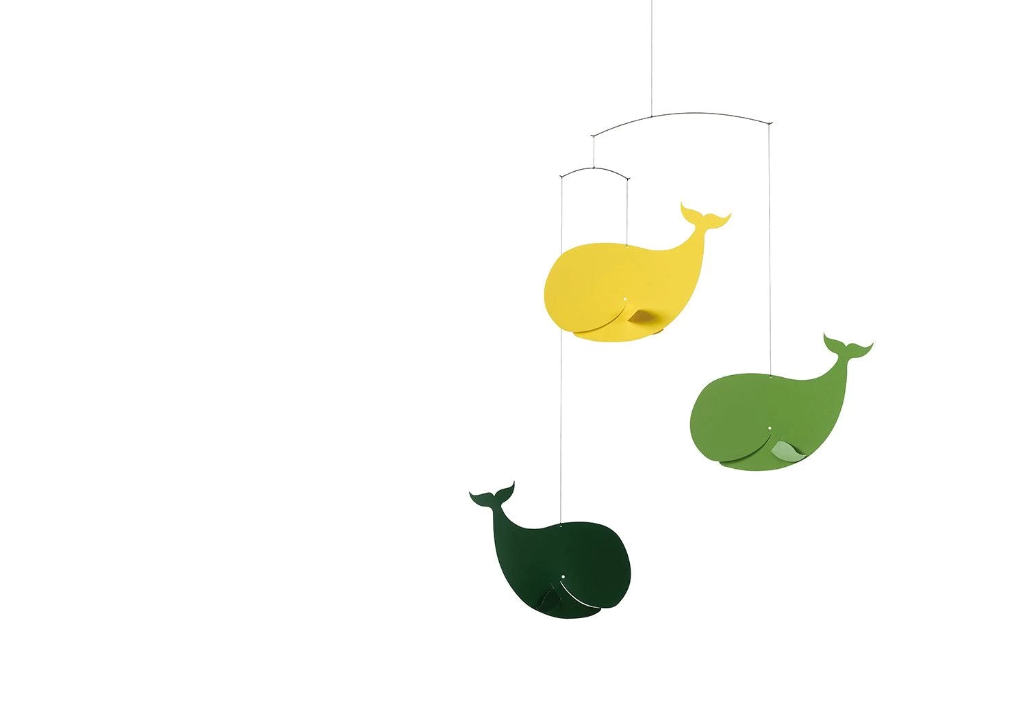 Happy Whales Mobile 1 Happy Whales Mobile