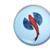 Fishkoi Round Tray