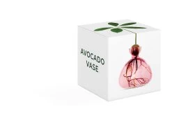 Avocado Vase -Comfortable Home ILEX AVOCADO PINK 2