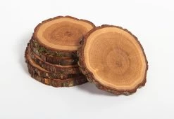 Tree 4 Tea Coasters, 2017