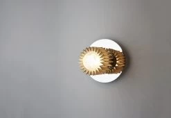 In The Sun Light, 2017 -Comfortable Home In the sun light 6