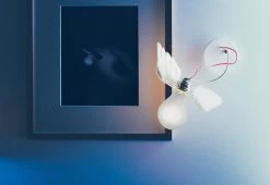 Lucellino Wall Light, 1992 -Comfortable Home Ingo Maurer Lucellino Wall 01