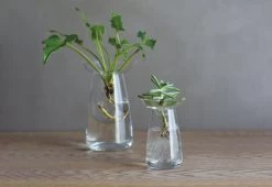 Kinto Aqua Culture Vase 7 Kinto Aqua Culture Vase -Comfortable Home Kinto aqua culture 2