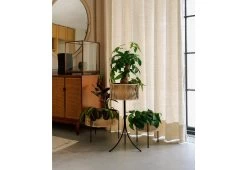 Menu Umanoff Planter, 1961 17 Menu Umanoff Planter, 1961 -Comfortable Home Menu Arther Umanoff Umanoff Planter 2