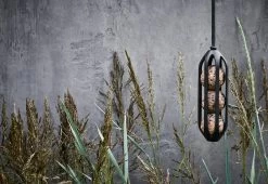 Rosendahl Suet Bird Feeder
