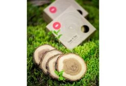 Tree 4 Tea Coasters, 2017 -Comfortable Home Tree 4 Tea 4pcs