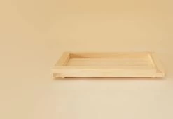 009 Rectangular Tray