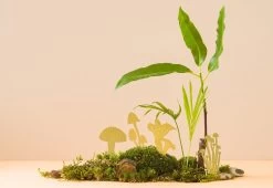 Mini Plant Mushrooms, 2018 -Comfortable Home another studio mini mushrooms 3