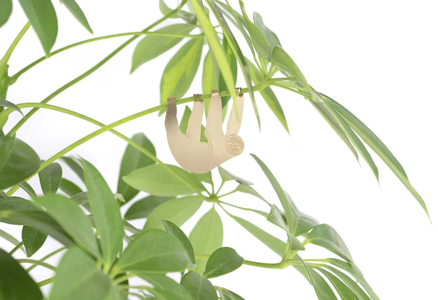 Plant Animals, 2018 3 Plant Animals, 2018 - Image 3