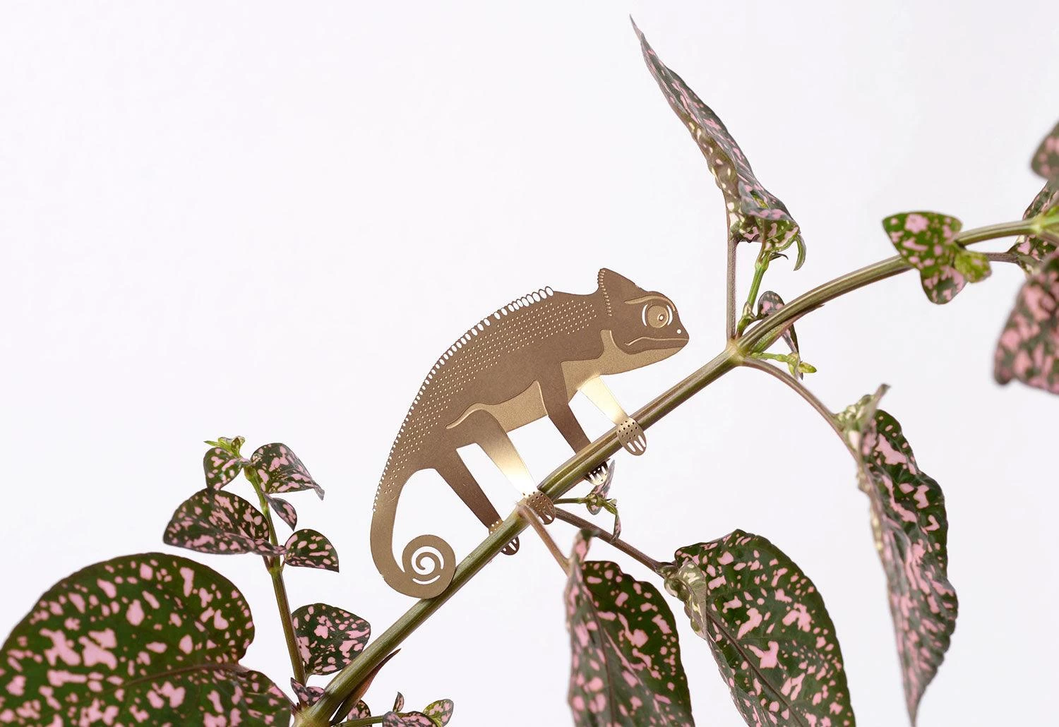 Plant Animals, 2018 1 Plant Animals, 2018