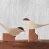 Curio Studio Arctic Tern