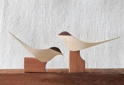Curio Studio Arctic Tern
