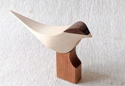 Curio Studio Arctic Tern -Comfortable Home arctic tern 11
