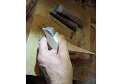 Curio Studio Arctic Tern -Comfortable Home arctic tern 13