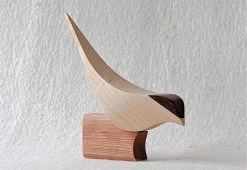 Curio Studio Arctic Tern -Comfortable Home arctic tern 5