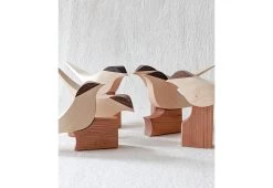 Curio Studio Arctic Tern -Comfortable Home arctic tern 6