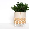 Oatmeal Spot Tripod Planter