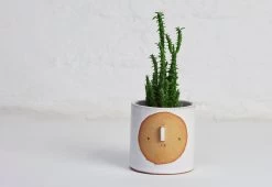 Small Harvest Moon Pot