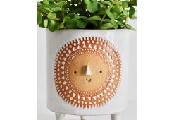 Sun Tripod Planter 6 Sun Tripod Planter -Comfortable Home attelia stella sun planter 2