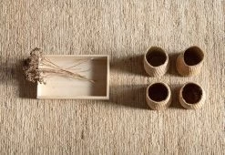 Earth Rug, 2016 -Comfortable Home earth rug 7