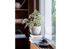 Ferm LIVING Speckle Pot 7 Ferm LIVING Speckle Pot -Comfortable Home ferm living speckle pot 3