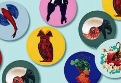 Shellephant Coasters -Comfortable Home gangzai shellephant coasters 3