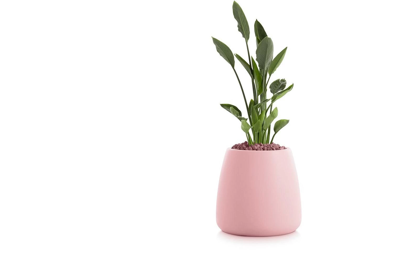 Gobi Planter 2 Gobi Planter - Image 2