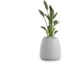 Gobi Planter