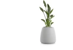 Gobi Planter