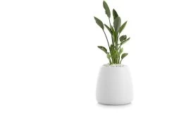 Gobi Planter 22 Gobi Planter -Comfortable Home gobi 1 gandia blasco twentytwentyone 7