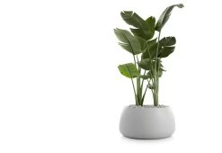 Gobi Planter 33 Gobi Planter -Comfortable Home gobi 3 gandia blasco twentytwentyone 2