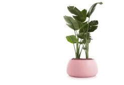Gobi Planter 35 Gobi Planter -Comfortable Home gobi 3 gandia blasco twentytwentyone 7