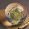 Teasel Paperweight