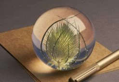 Teasel Paperweight