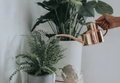 Fazeley Flow Copper Watering Can -Comfortable Home haws fazeley flow watering can copper 2