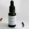 The Woods Essential Oil Blend