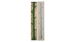 Branch Candle Terre Verte