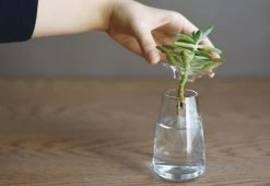 Kinto Aqua Culture Vase 8 Kinto Aqua Culture Vase -Comfortable Home kito aqua culture vase 4