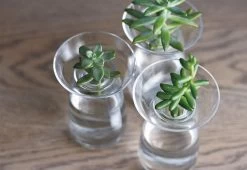 Kinto Aqua Culture Vase 9 Kinto Aqua Culture Vase -Comfortable Home kito aqua culture vase 6