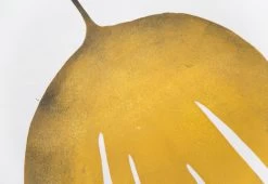 Kombu Kelp Print, 2015 -Comfortable Home kombu kelp print 2