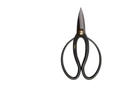 Higurashi Scissors