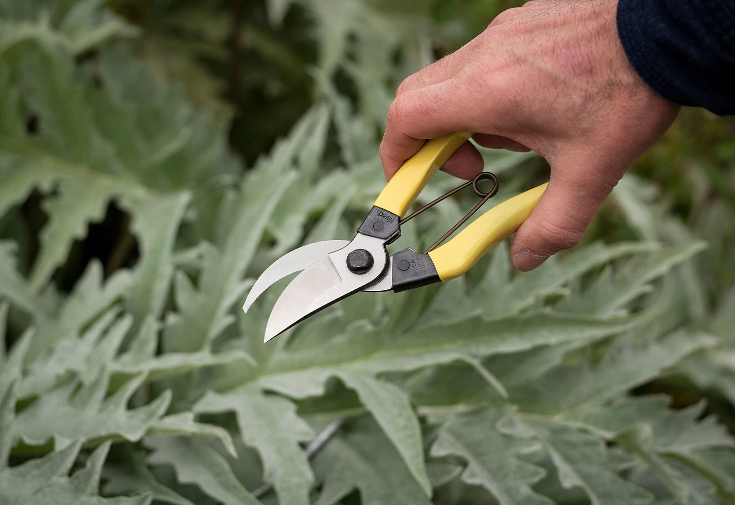 Mainichi Secateurs 2 Mainichi Secateurs - Image 2