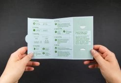 Piccolo Herbal Teas Seed Collection -Comfortable Home piccolo herb tea collection 3