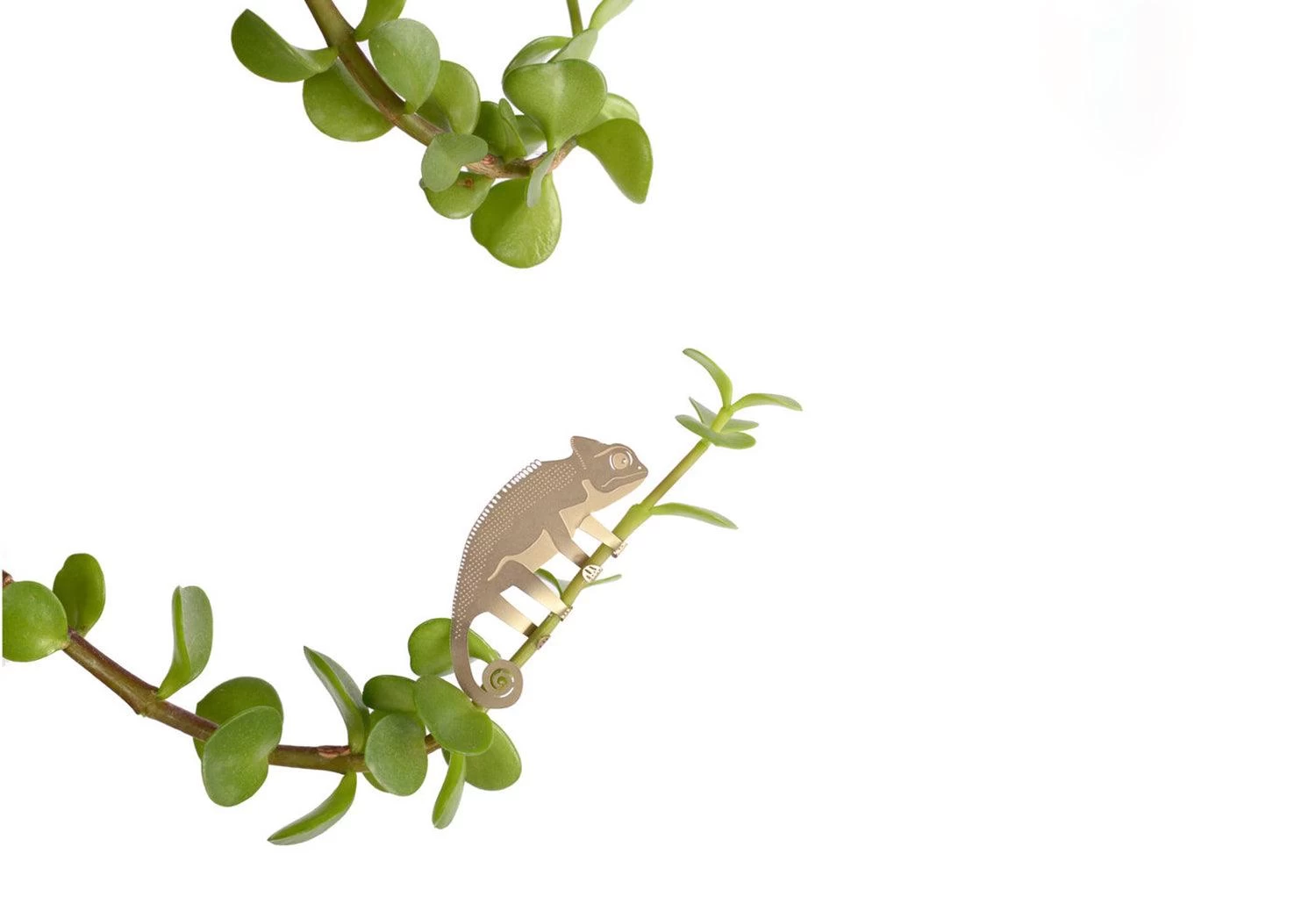 Plant Animals, 2018 5 Plant Animals, 2018 - Image 5