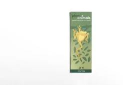 Plant Animals, 2018 19 Plant Animals, 2018 -Comfortable Home plant animals frog 1