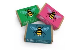 Project Maya Bee Box