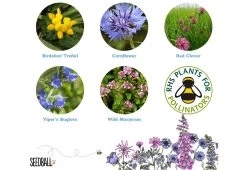 Project Maya Bee Box -Comfortable Home project maya wildlife bee box 5