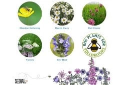 Project Maya Bee Box -Comfortable Home project maya wildlife bee box 6