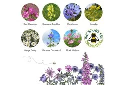 Project Maya Bee Box -Comfortable Home project maya wildlife bee box 8