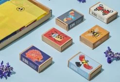 Project Maya Wildlife Seed Box